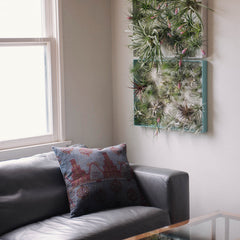 Airplantman Air Plant Frame