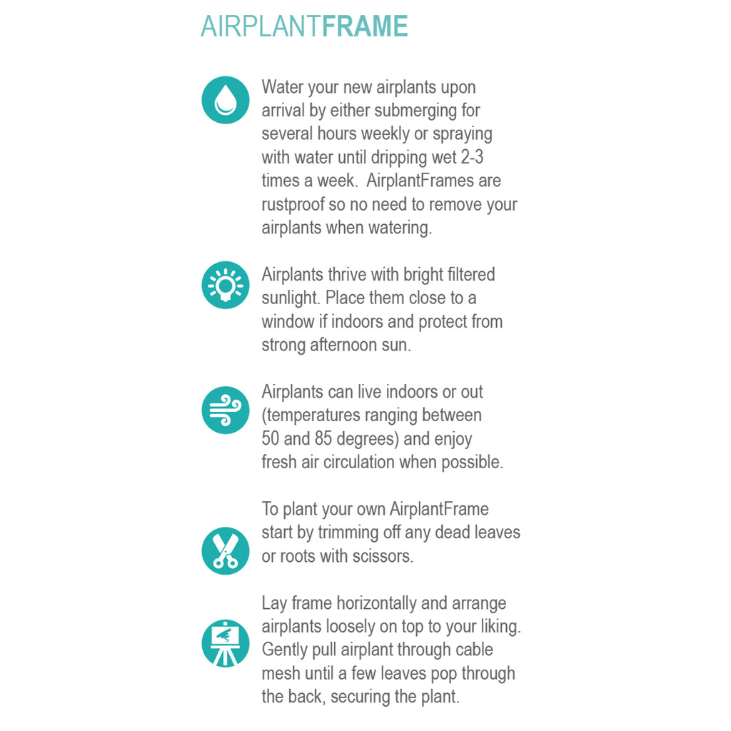 Air Plant Frame - Rectangle