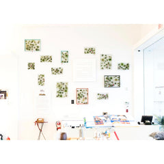 Air Plant Frame - Rectangle