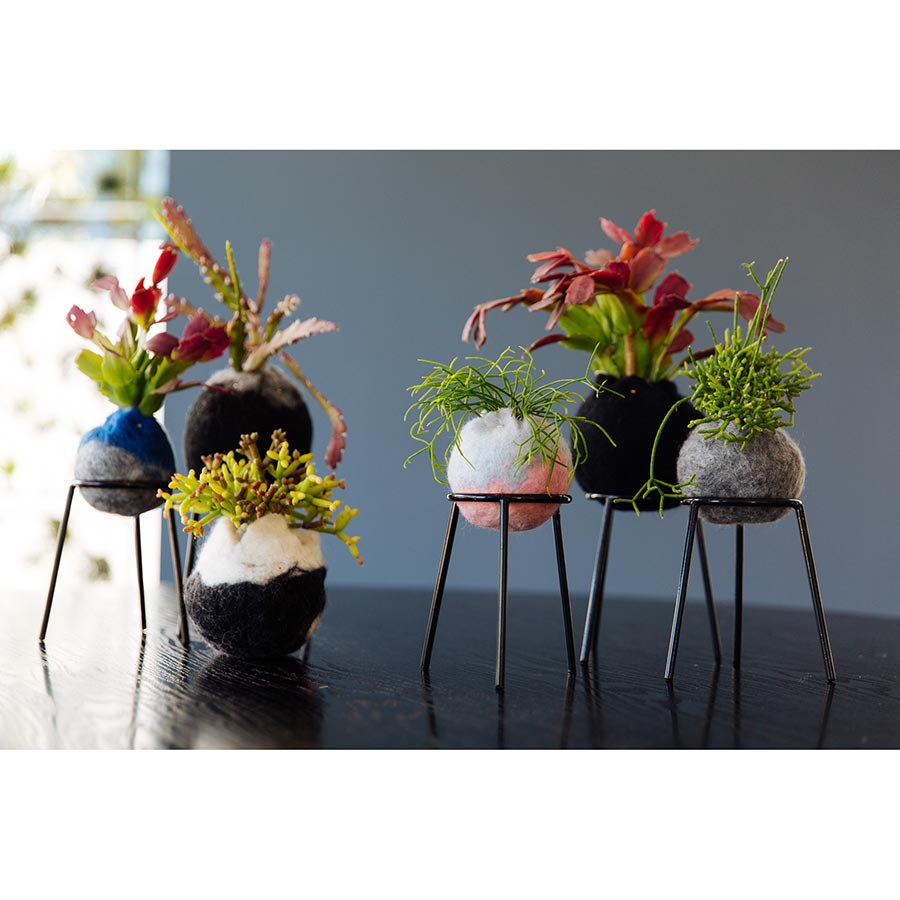 airplantman kokedama wool felt handmade rhipsalis design decor gift