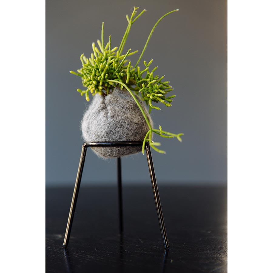 airplantman kokedama wool felt handmade rhipsalis design decor gift