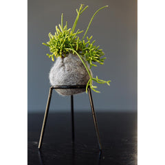 airplantman kokedama wool felt handmade rhipsalis design decor gift