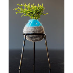 airplantman kokedama wool felt handmade rhipsalis design decor gift