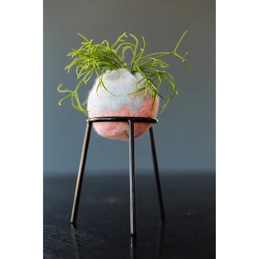 airplantman kokedama wool felt handmade rhipsalis design decor