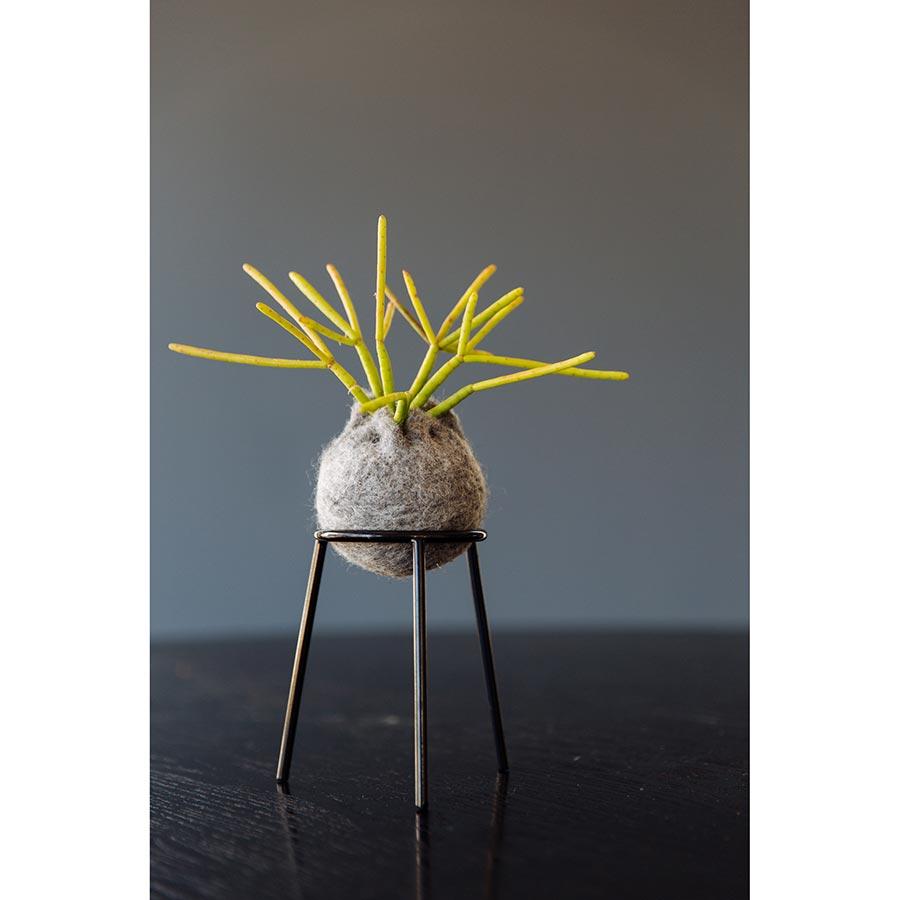 airplantman kokedama wool felt handmade rhipsalis design decor gift