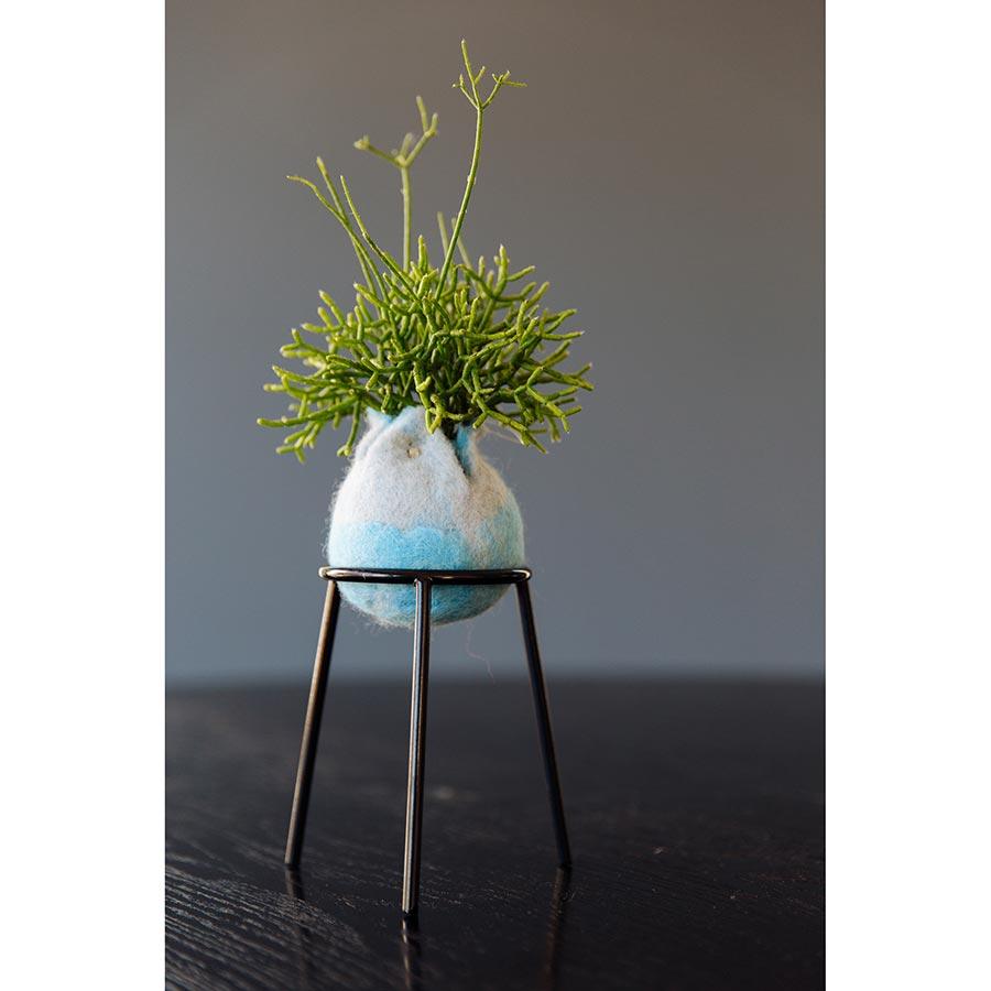 airplantman kokedama wool felt handmade rhipsalis design decor gift