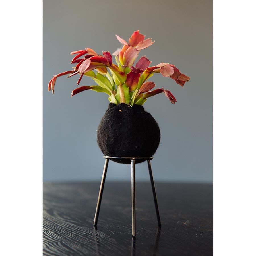 airplantman kokedama wool felt handmade rhipsalis