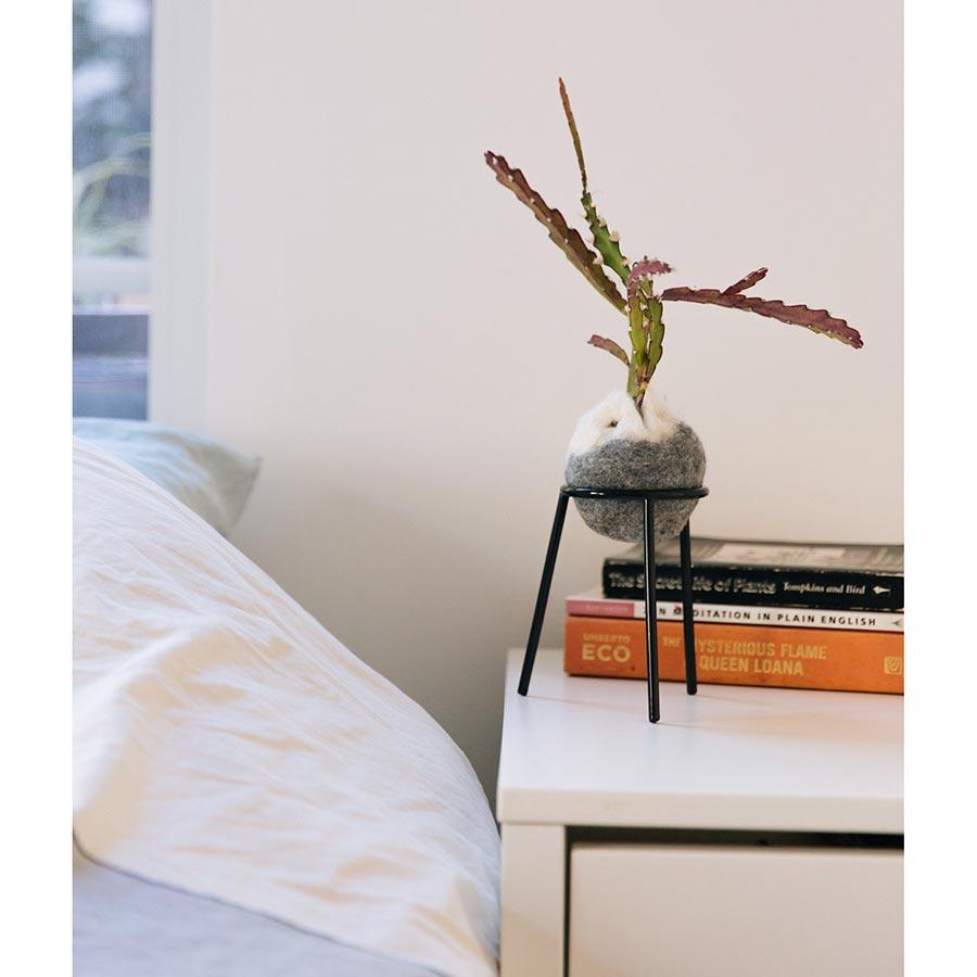 airplantman kokedama wool felt handmade rhipsalis design decor gift