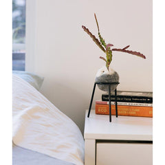 airplantman kokedama wool felt handmade rhipsalis design decor gift