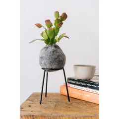 airplantman kokedama wool felt handmade rhipsalis