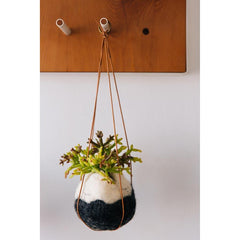 airplantman kokedama wool felt handmade rhipsalis design decor gift
