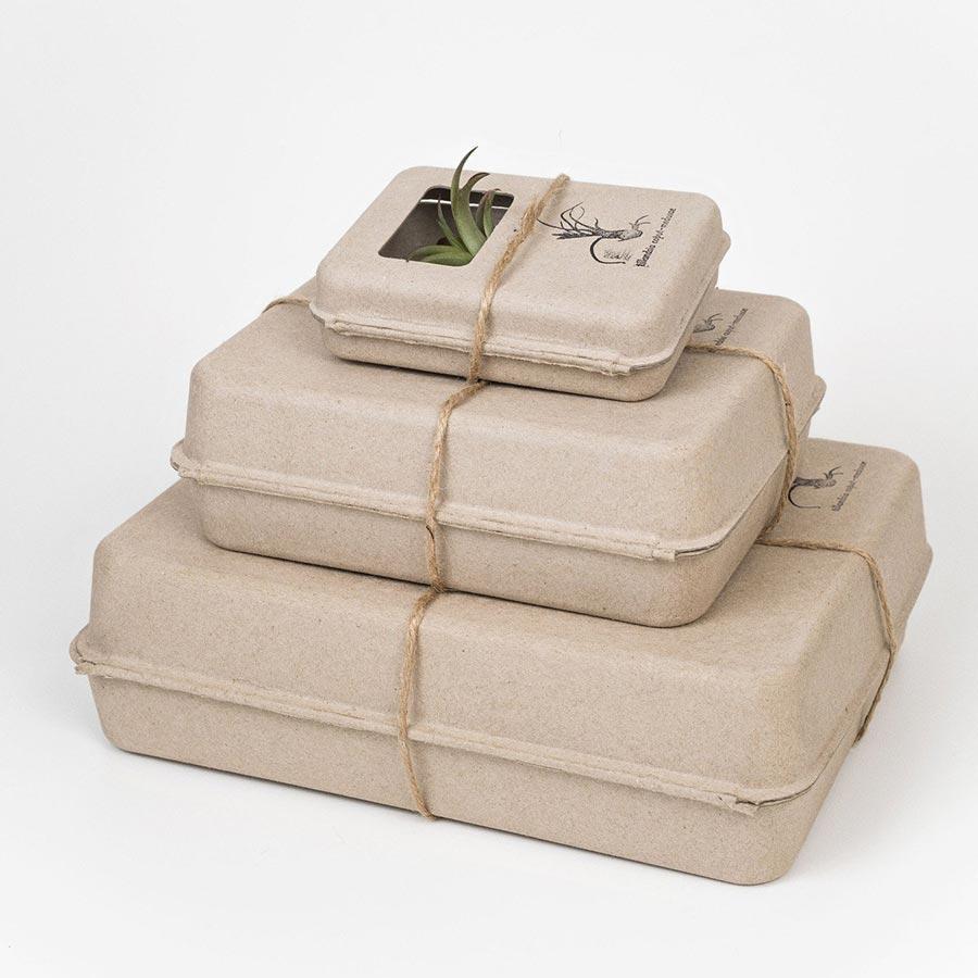 Air Plant Vessel Holder in Steel by Airplantman decor gift powder coat tillandsia packaging