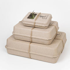 Air Plant Vessel Holder in Steel by Airplantman decor gift powder coat tillandsia packaging