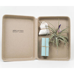 Air Plant Vessel Holder in Steel by Airplantman decor gift powder coat tillandsia packaging