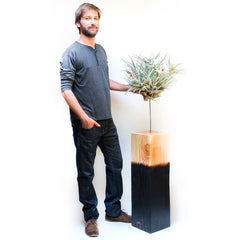 Air Plant Vessel Holder in Wood by Airplantman