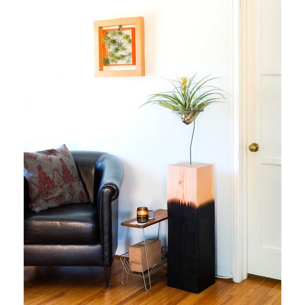 Air Plant Vessel Holder in Wood by Airplantman