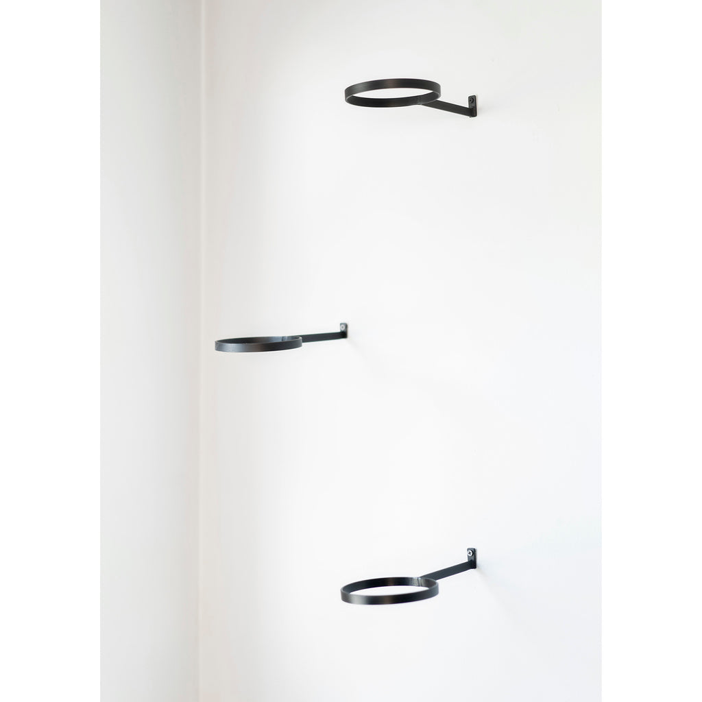 Air Plant Ring by Airplantman