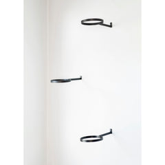 Air Plant Ring by Airplantman