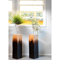 Air Plant Vessel Holder in Wood by Airplantman