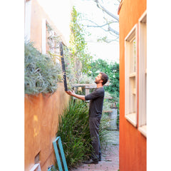 Air Plant Frame by Airplantman