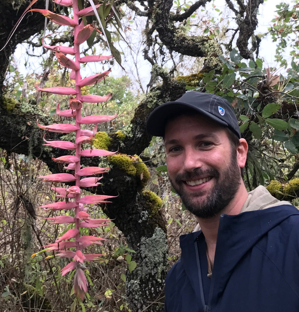 Gaea's Room - Interview with Airplantman