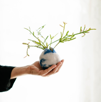 Airplantman Kokedama Care