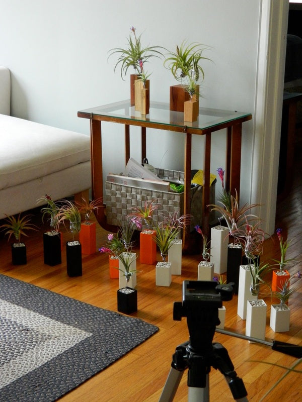 Airplantman Photoshoots