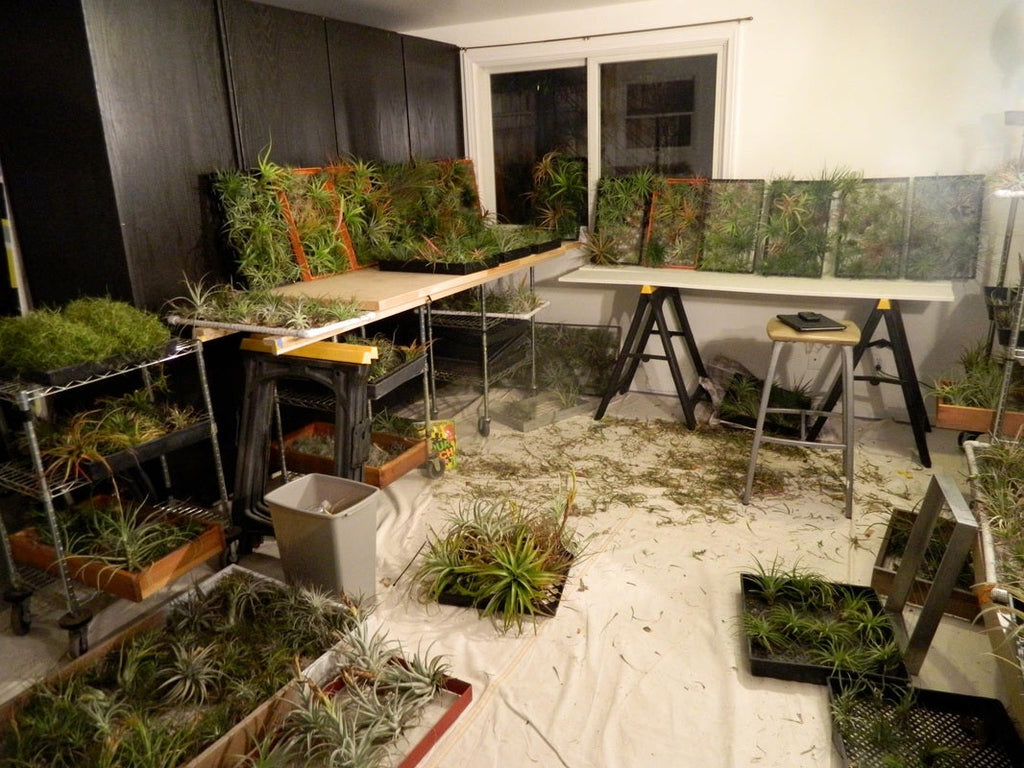 Late Nights in Airplantman Studio