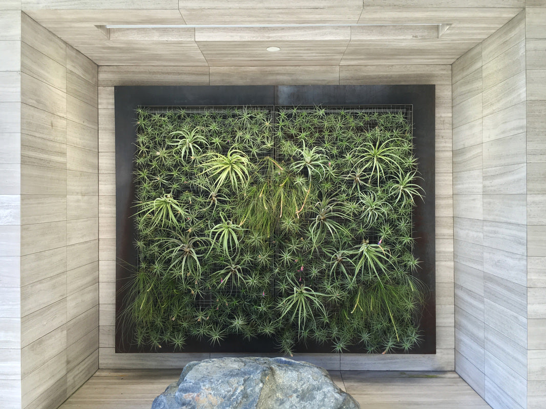 Brentwood Residence
