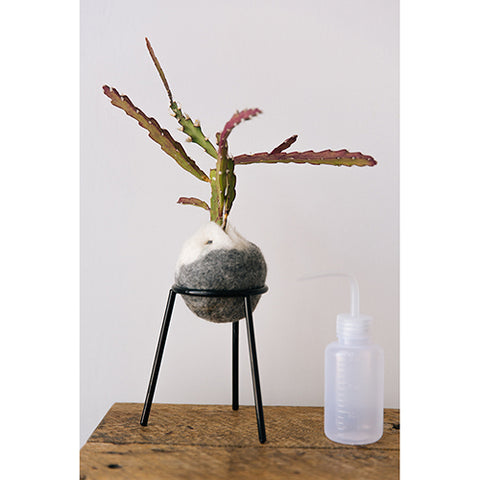 Kokedama Stand and Watering Bottle