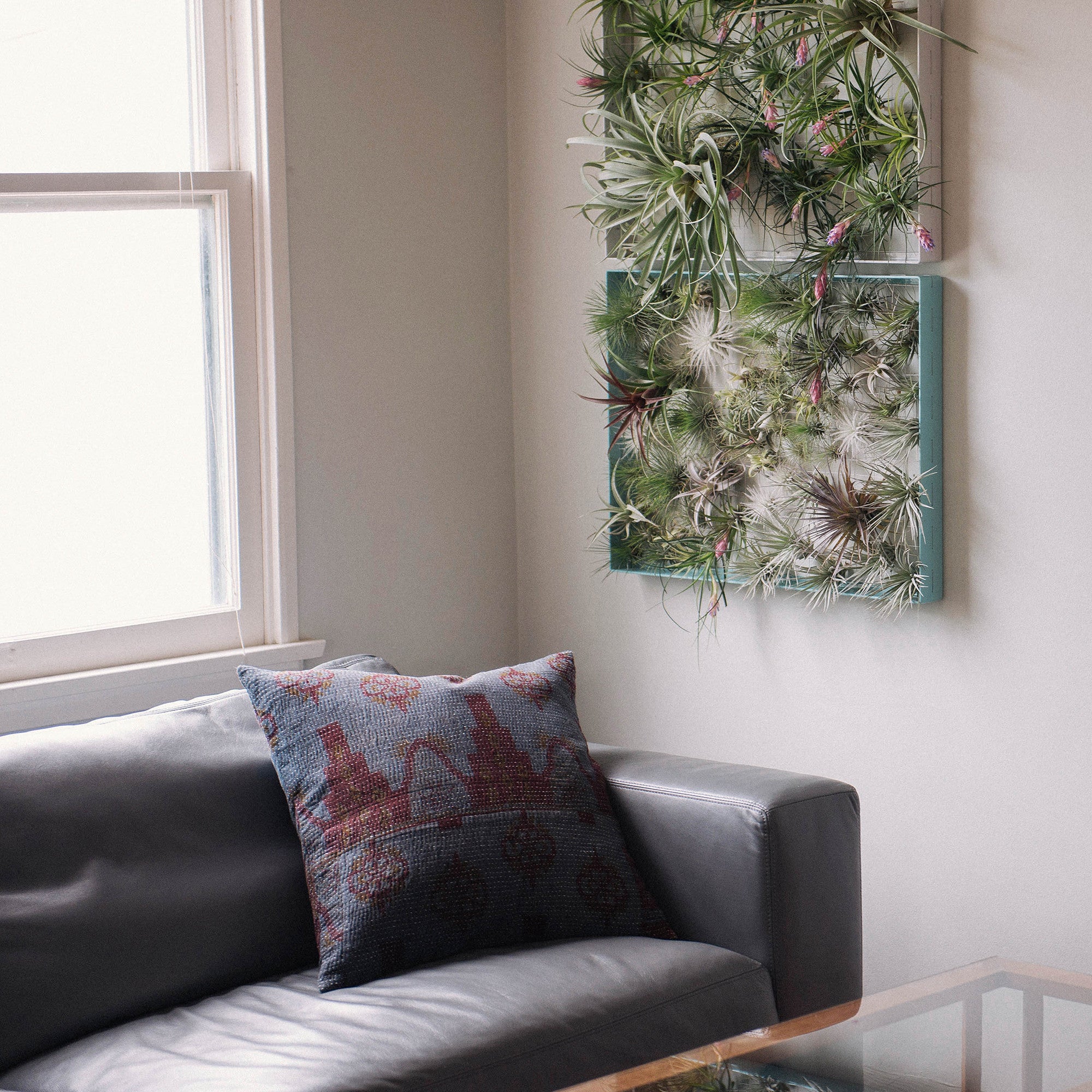 mkono air plant frame Air Plant Frame | Large