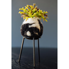 airplantman kokedama wool felt handmade rhipsalis design decor gift
