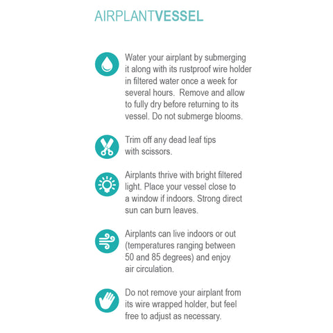 Air Plant Vessel - Wood