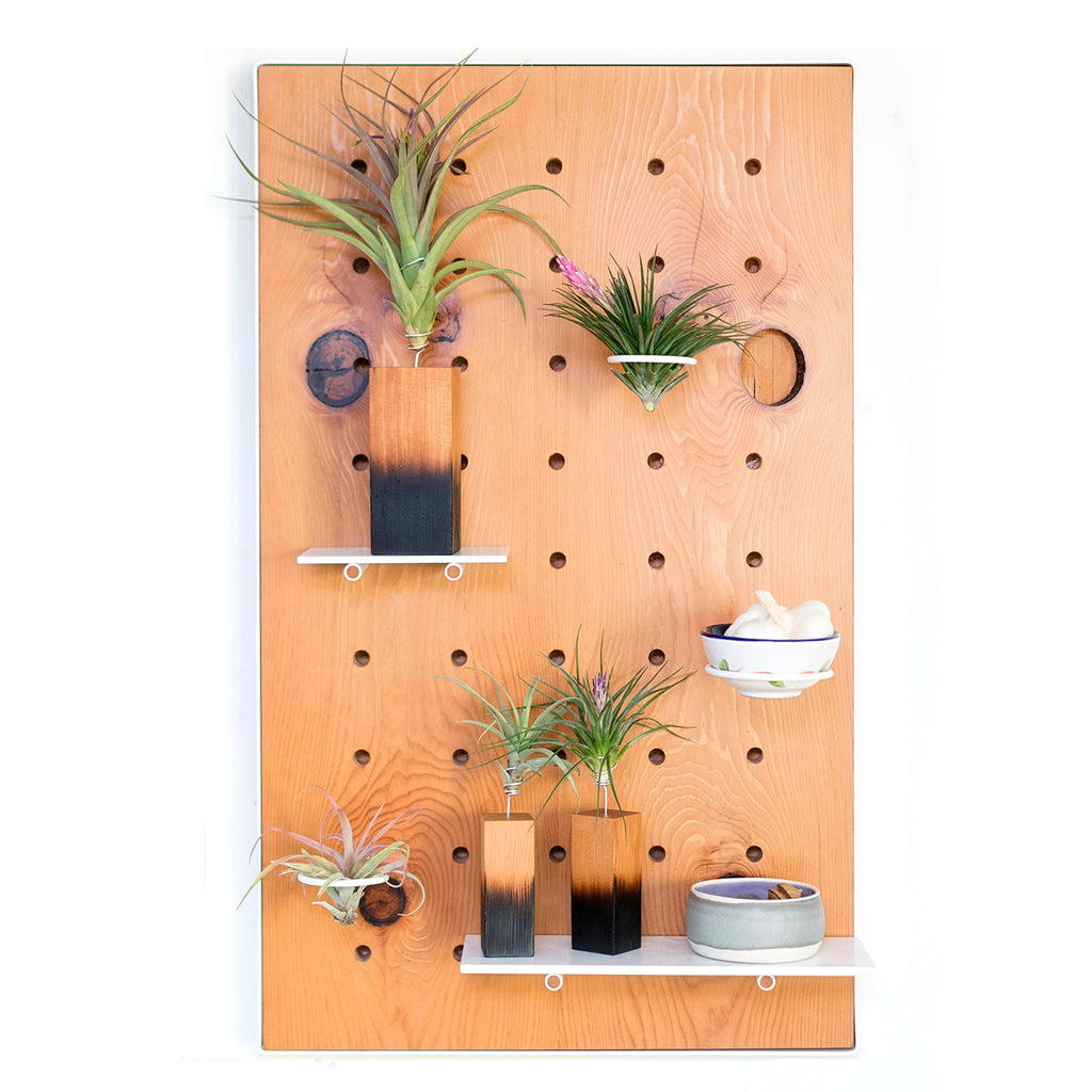 Air Plant Peg Board by Airplantman