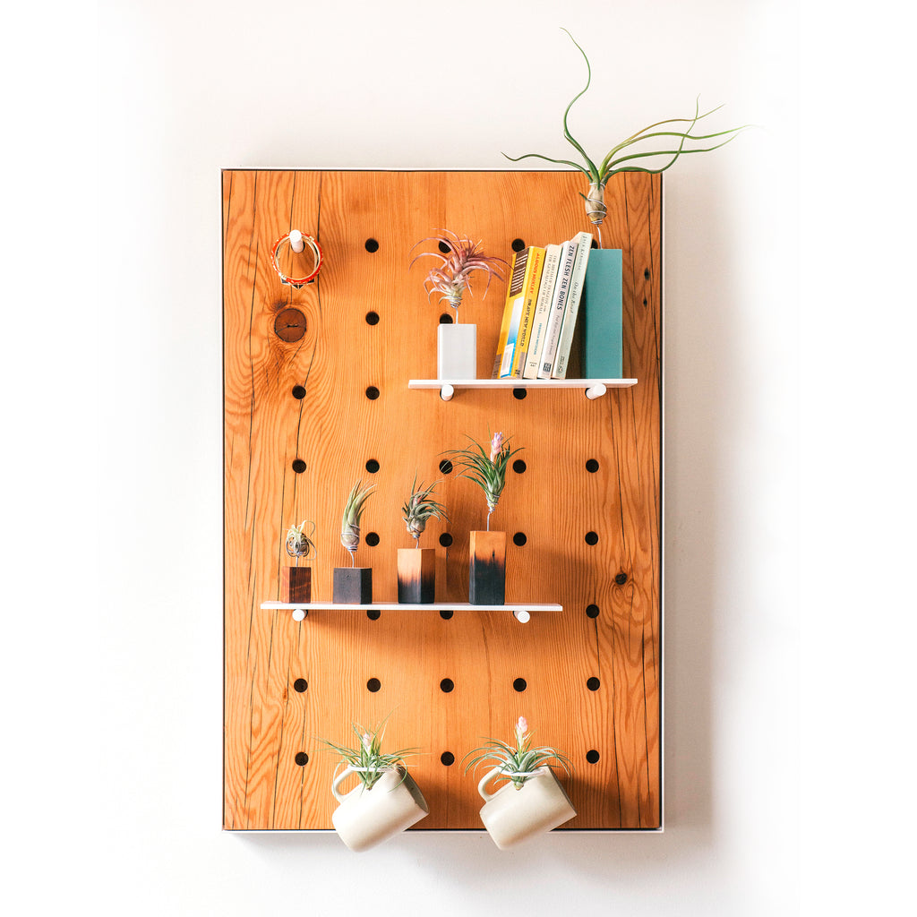 Air Plant Peg Board, Reclaimed Wood Display