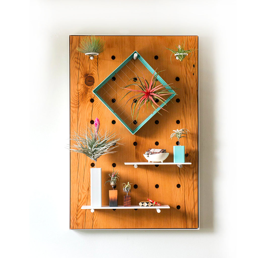 Air Plant Peg Board by Airplantman