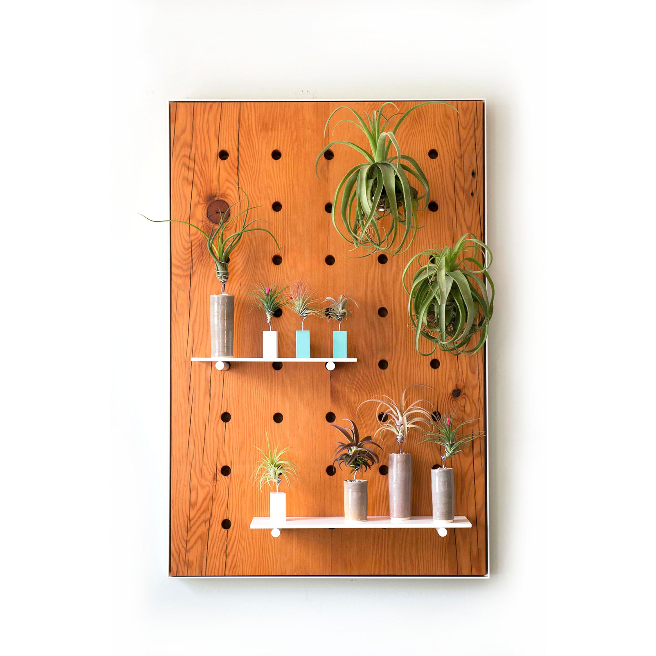 air plant wood display Air Plant Peg Board | Reclaimed Wood Display