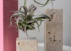 Air Plant Vessel - Stone