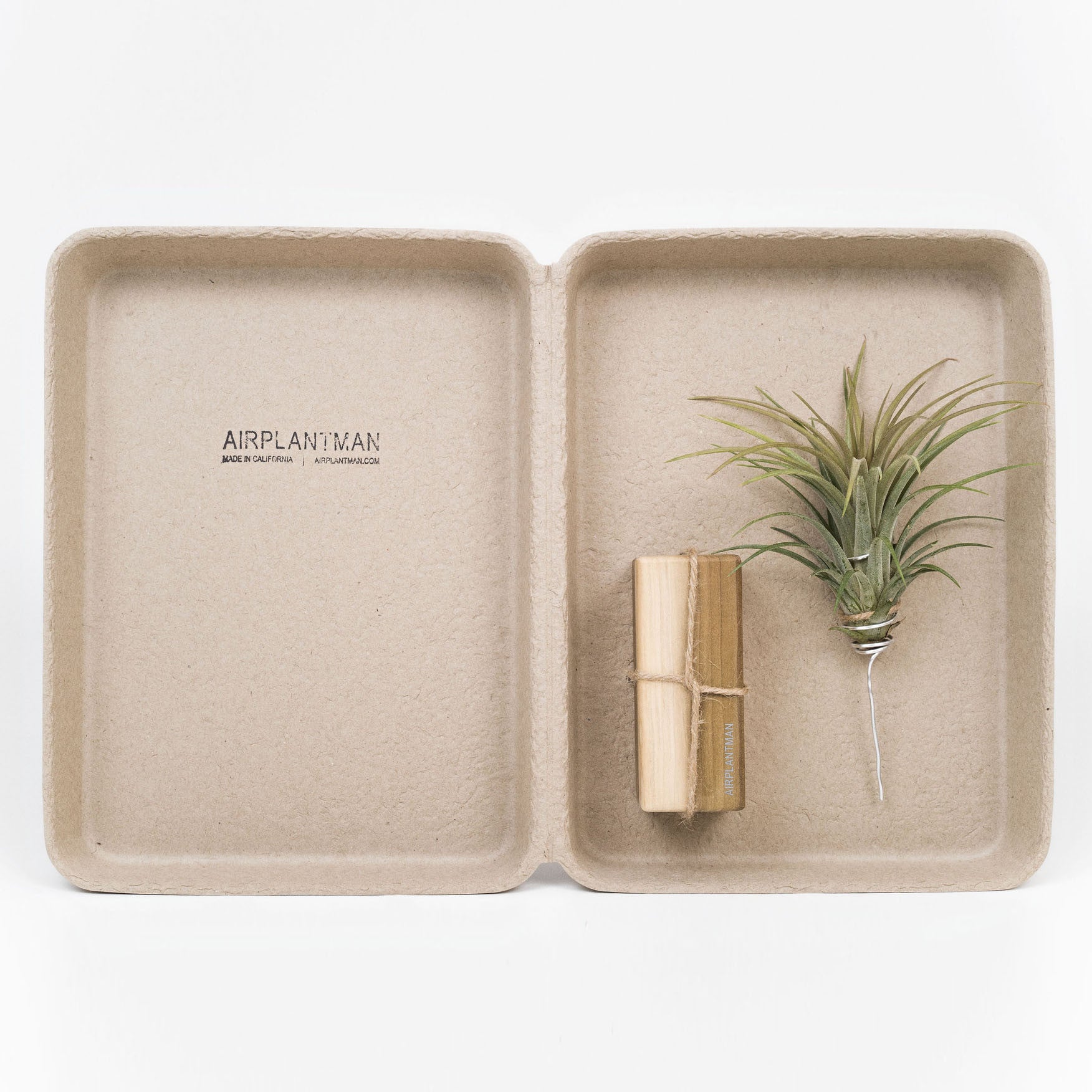 air plant containers wholesale Air Plant Holder | Wood | Small, Medium, Large Sizes